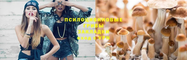 каннабис Беломорск
