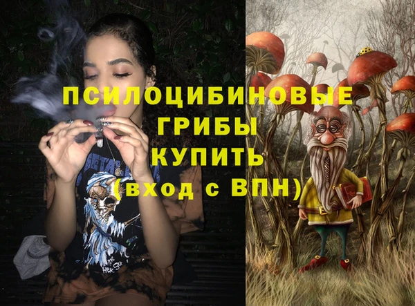 соль ск Белокуриха