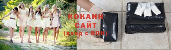 соль ск Белокуриха
